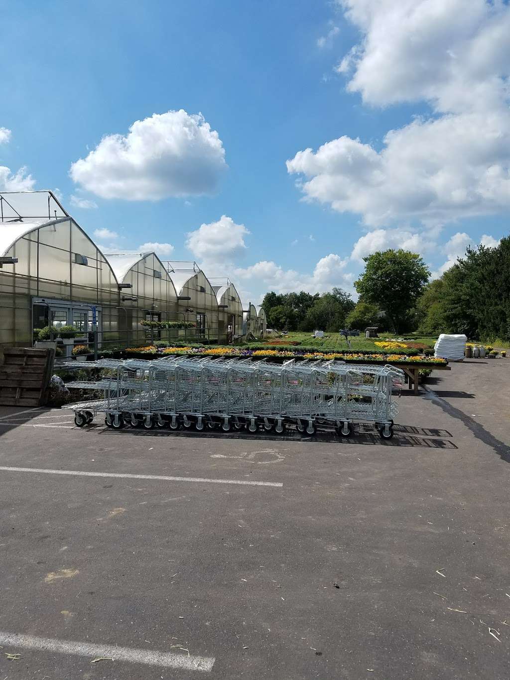 Rays Greenhouse | 458 Morwood Rd, Telford, PA 18969 | Phone: (215) 723-1476