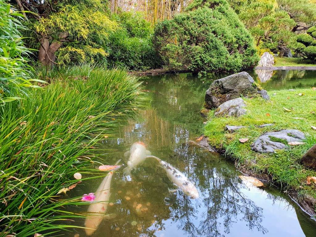 Japanese Tea Garden | San Francisco, CA 94118, USA