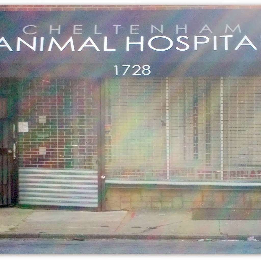 Cheltenham Animal Hospital | 1728 W Cheltenham Ave, Philadelphia, PA 19126, USA | Phone: (215) 927-2630