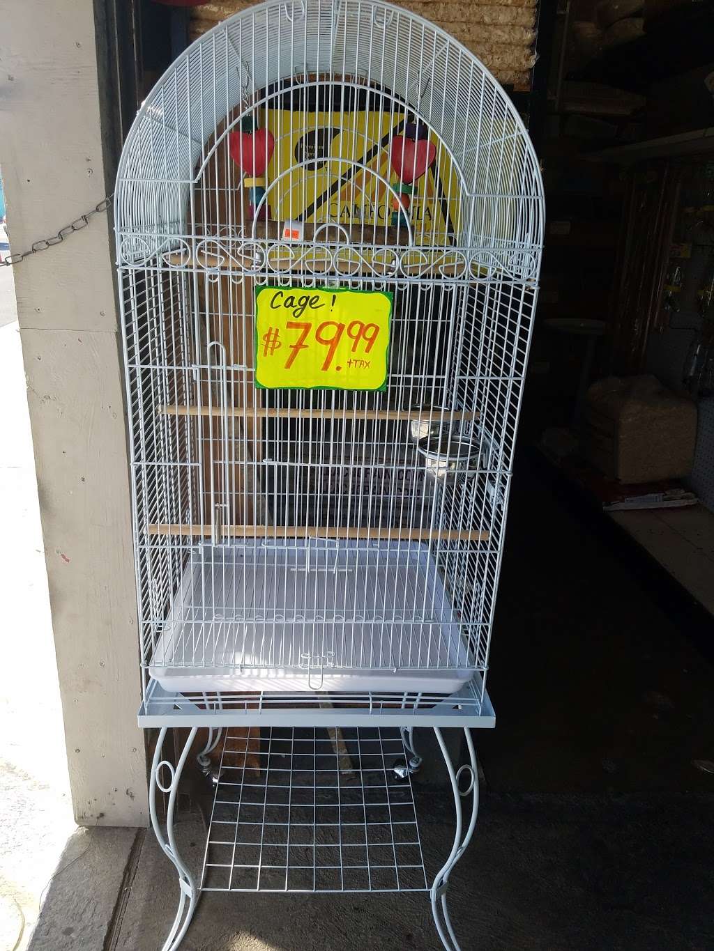 Ramirez Pet Shop | 1741 Firestone Blvd, Los Angeles, CA 90001, USA | Phone: (323) 582-9188 Ramirez Pet Shop | 1741 Firestone Blvd, Los Angeles, CA 90001, USA | Phone: (323) 582-9188
