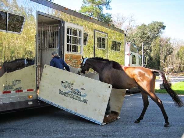 C & E Horse Transportation Inc | 8N034 IL-25, South Elgin, IL 60177, USA | Phone: (888) 265-3007