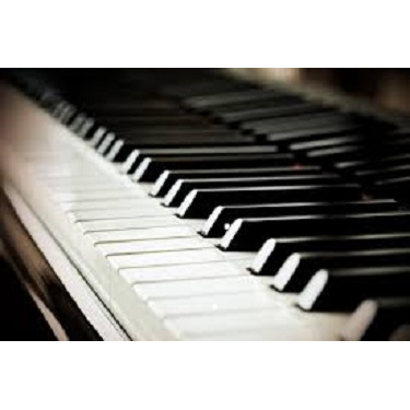 Tampa Piano School | 5825 Liverpool Dr, Tampa, FL 33615, USA | Phone: (813) 334-4642