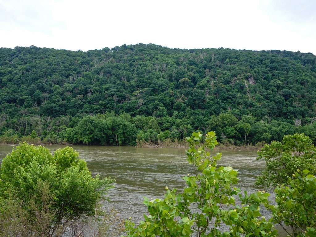 Appalachian Trail | Appalachian Trail, Knoxville, MD 21758, USA