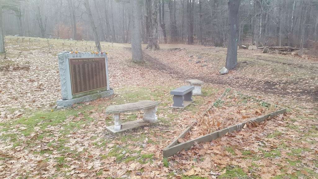 The Old Letchworth Village Cemetery | Stony Point, NY 10980, USA