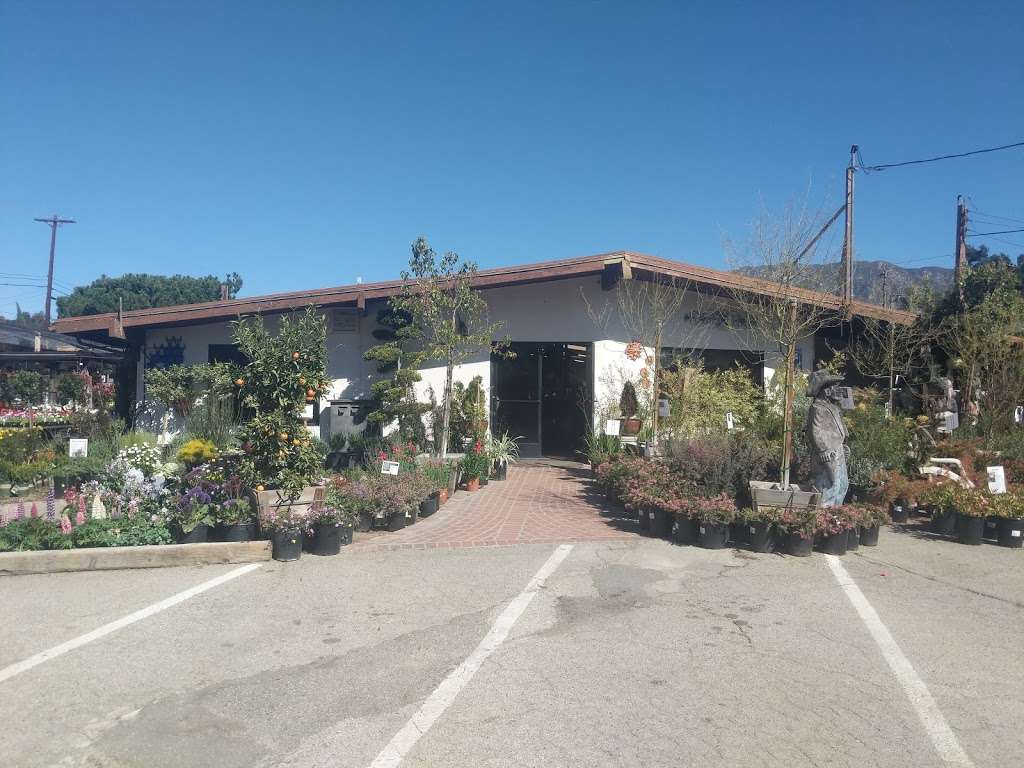 La Crescenta Nursery | 1001, 3654 La Crescenta Ave, Glendale, CA 91208, USA | Phone: (818) 249-2448