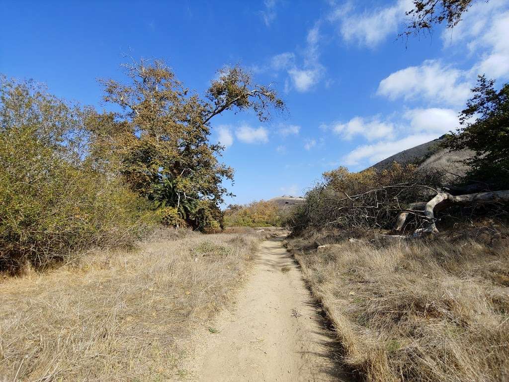 Los Penasquitos Trail Head (west) | 4300 Sorrento Valley Blvd, San Diego, CA 92121, USA | Phone: (858) 538-8066