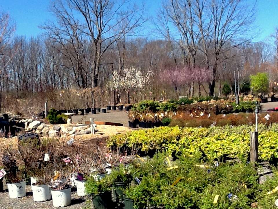 Rogers Spring Hill Garden Center | 1269 Boston Rd, Haverhill, MA 01835, USA | Phone: (978) 372-4780