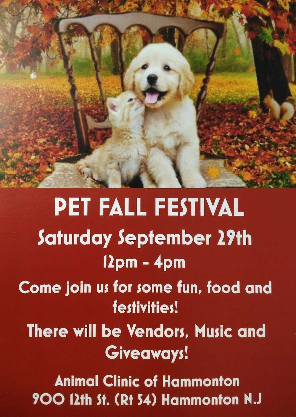 Animal Clinic of Hammonton | 900 12th St #1, Hammonton, NJ 08037, USA | Phone: (609) 878-3725