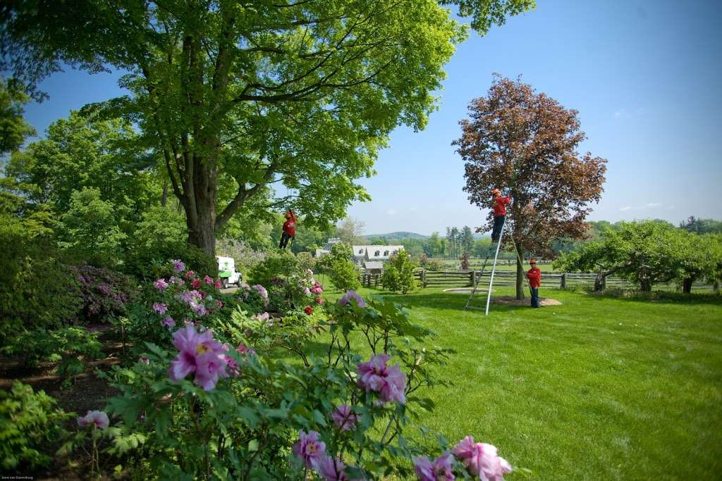 SavATree - Tree Service & Lawn Care | 300 Basin Rd, Hamilton Township, NJ 08619 | Phone: (609) 924-2800