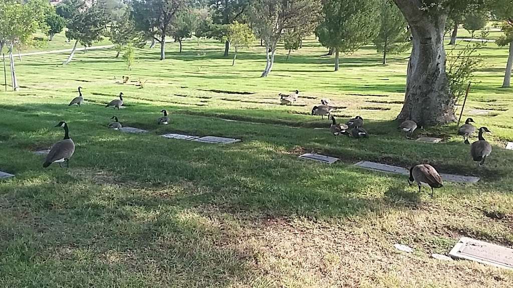 Oakwood Memorial Park And Cemetery | 22601 Lassen St, Chatsworth, CA 91311, USA | Phone: (818) 341-0344