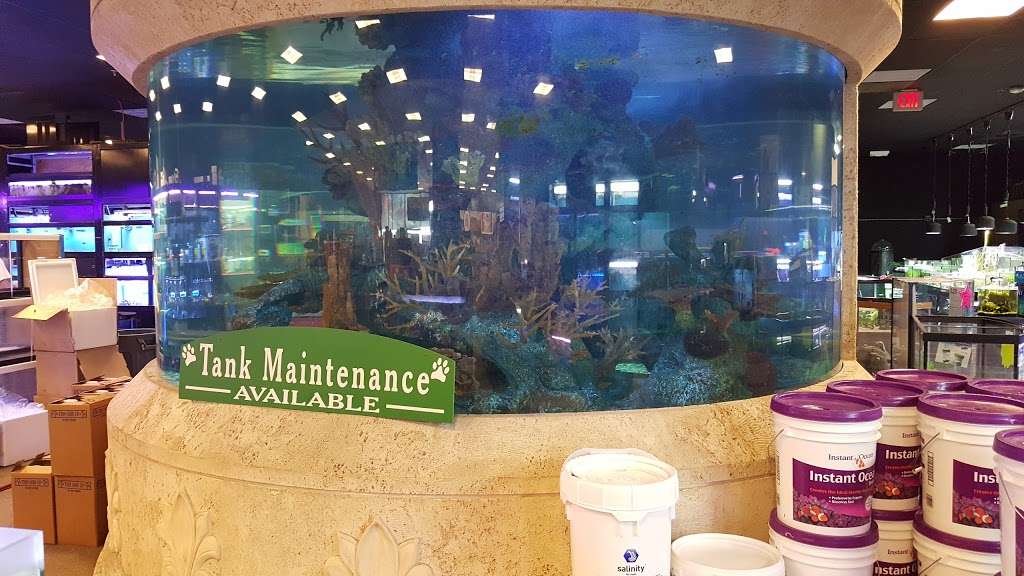 aquarium superstore