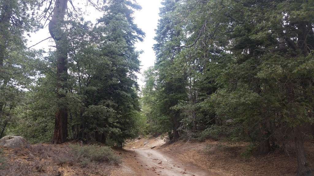 Camp Creek National Recreation Trail 1W09 | 36807 CA-18, Green Valley Lake, CA 92341 | Phone: (909) 382-2790