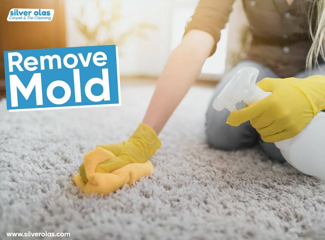 Silver Olas Carpet Tile Flood Cleaning | 101 Copperwood Way m, Oceanside, CA 92058, United States | Phone: (760) 753-0969