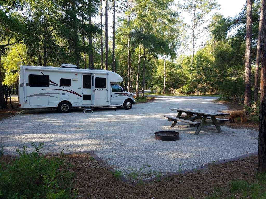 Silver Springs State Park, Campground and Museum Entrance | 1425 NE 58th Ave, Ocala, FL 34470, USA | Phone: (352) 236-7148