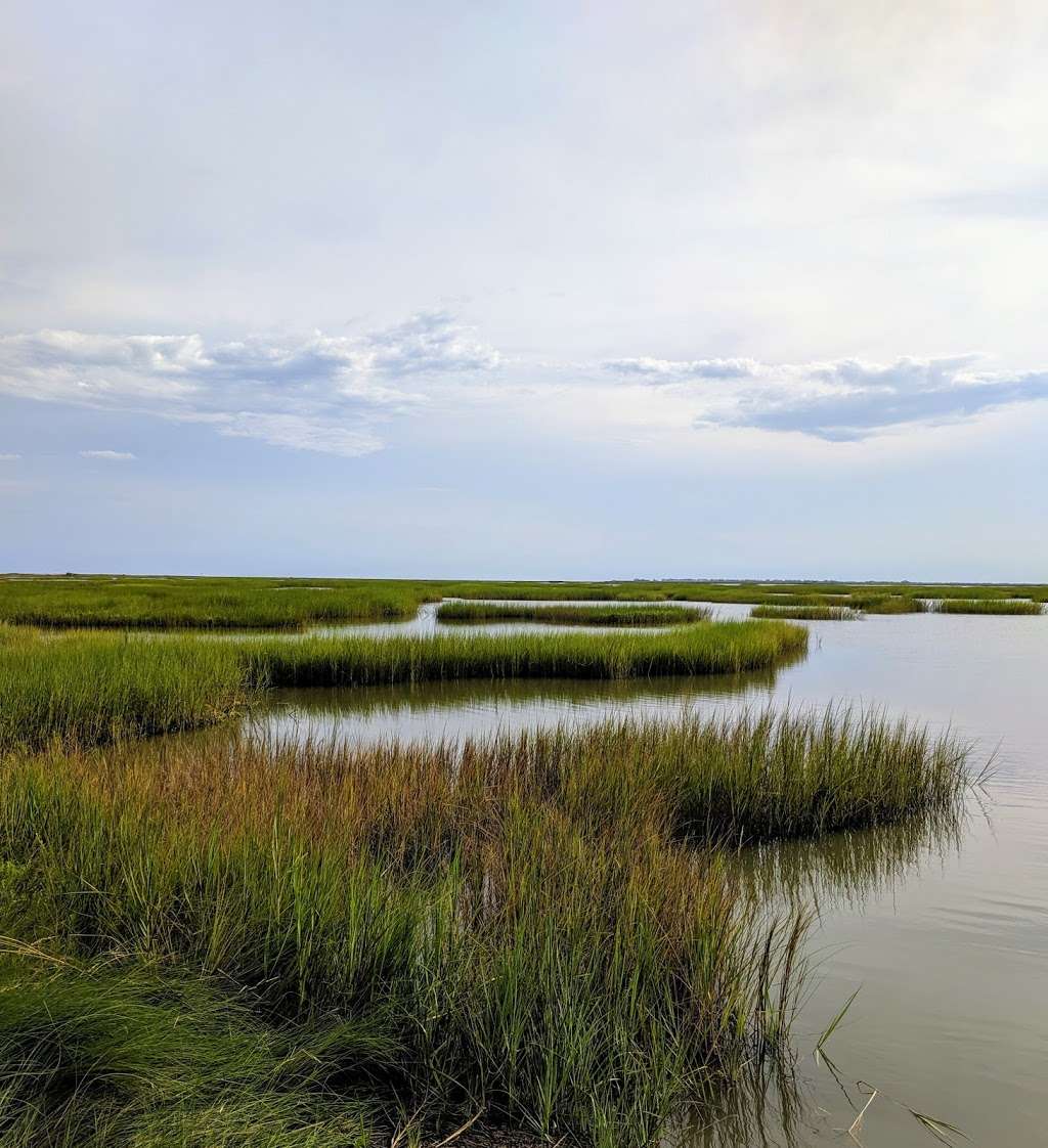 Artist Boat Coastal Heritage Preserve | 13117 Settegast Rd, Galveston, TX 77554, USA | Phone: (409) 770-0722