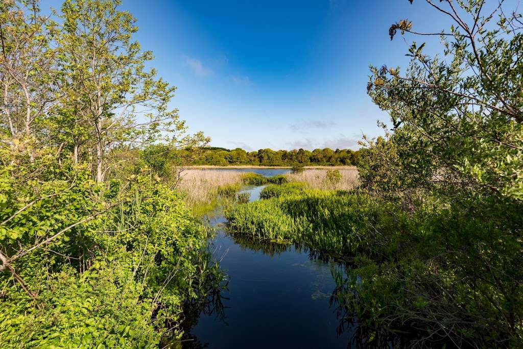 Cape May Wetlands State Natural Area | Cape May, NJ 08204, USA