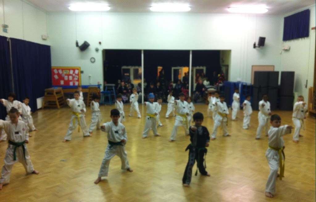 Enfield School of Tae Kwon Do | Grange Park School,, Worlds End Ln, London N21 1PP, UK | Phone: 07967 128420