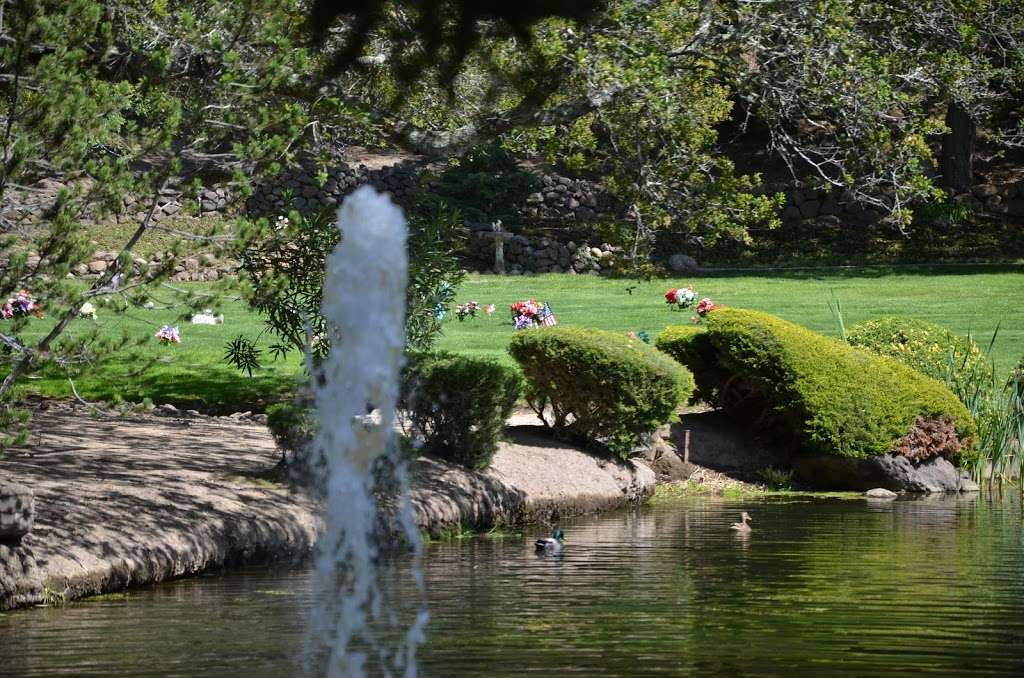 Bubbling Well Pet Memorial Park | 2462 Atlas Peak Road Please call ahead. Temporary business office location:, 935 Enterprise Way, Napa, CA 94558, USA | Phone: (707) 255-3456