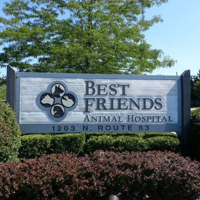 Best Friends Animal Hospital | 1203 N Illinois 83, Grayslake, IL 60030, USA | Phone: (847) 548-2626