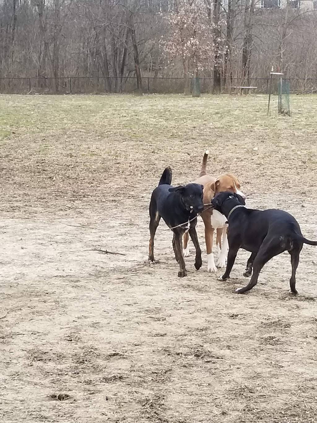 Otto Armleder Dog Park | 5057 Wooster Pike, Cincinnati, OH 45226, USA | Phone: (513) 521-7275