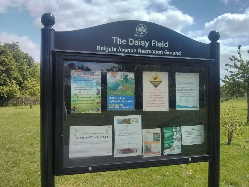 Reigate Avenue Recreation Ground / The Daisy Field | 16 Glenthorne Cl, Sutton SM3 9NN, UK