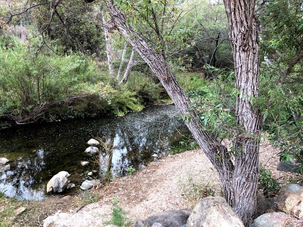 Wildflower Ranch Meadow | Unnamed Road, Encinitas, CA 92024, USA