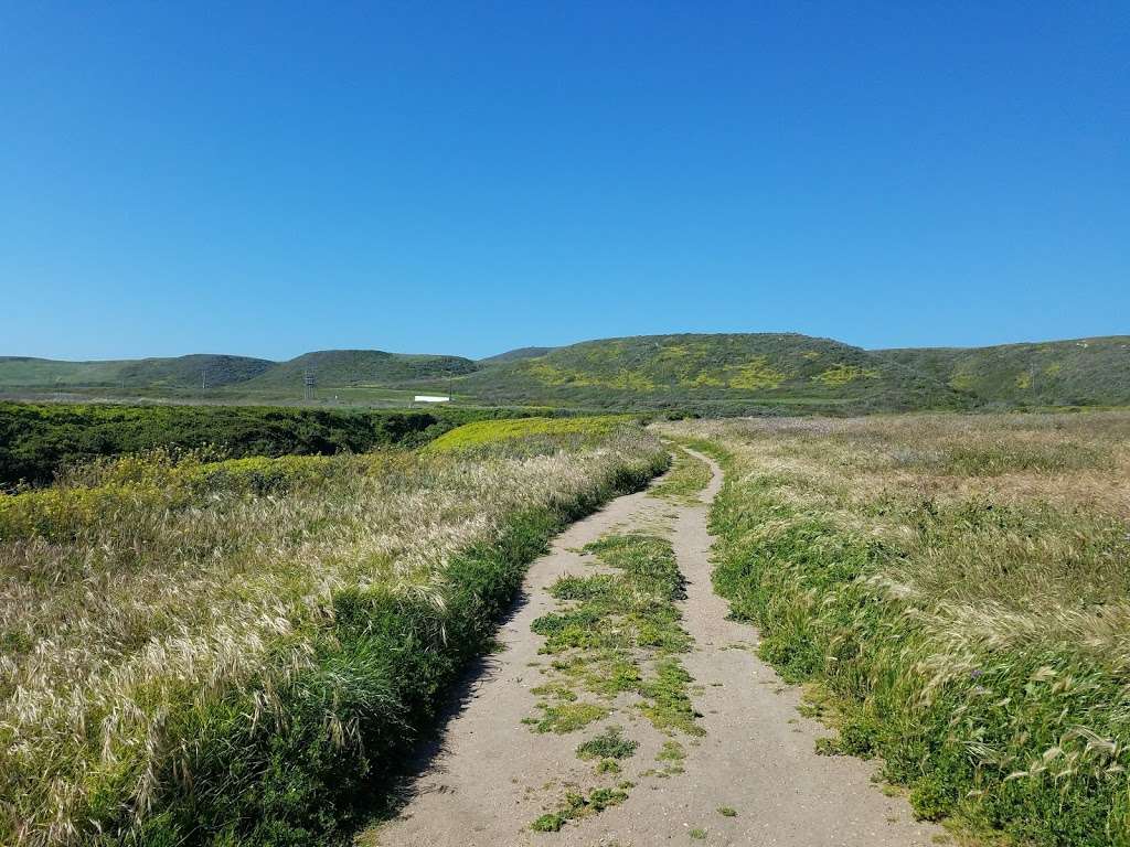 Laguna Creek Beach | 6098 Laguna Rd, Santa Cruz, CA 95060, USA