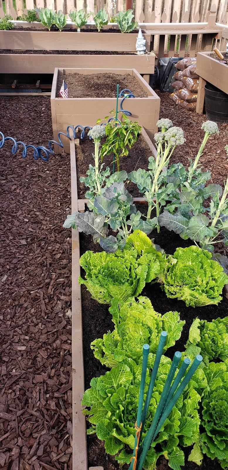 Edison Park Community Garden | 99 College Park Dr, Seal Beach, CA 90740, USA | Phone: (562) 431-2527 ext. 1306