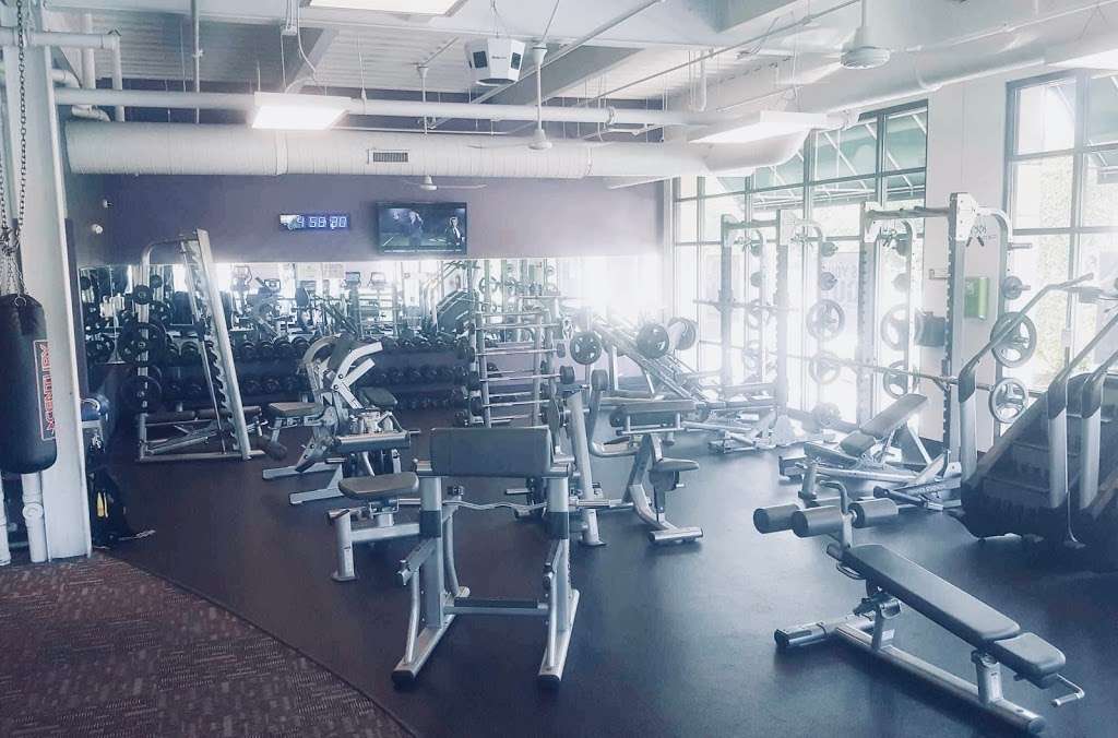 Anytime Fitness | 1301 N Wolf Rd, 1317 North Wolf Road, Mt Prospect, IL 60056, USA | Phone: (847) 376-8887