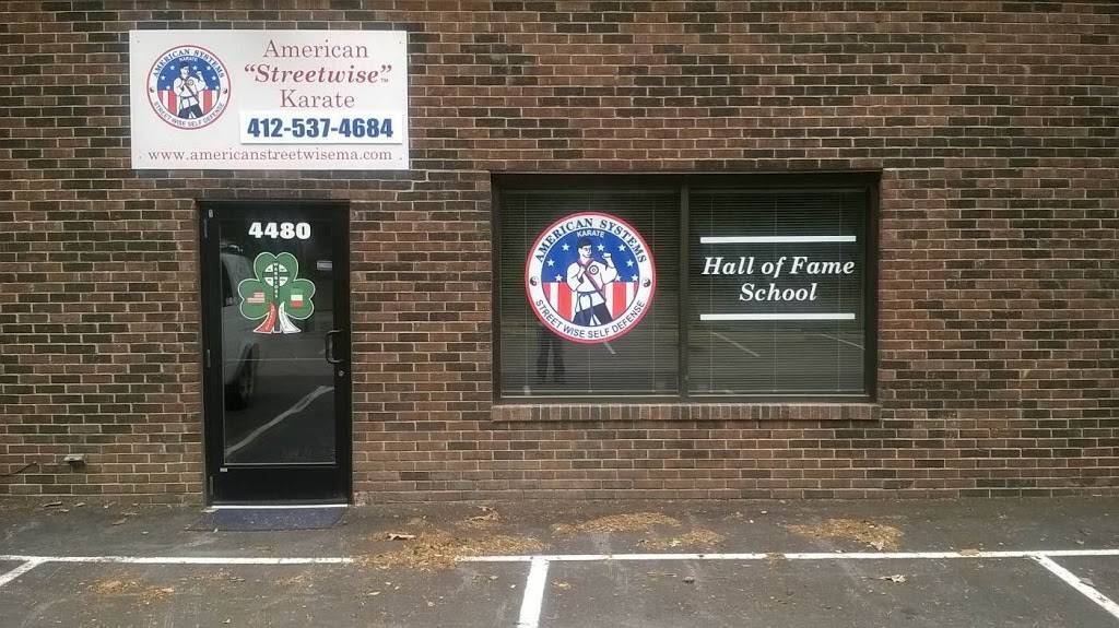 American Streetwise Karate | 4480 Steubenville Pike, Pittsburgh, PA 15205, USA | Phone: (412) 537-4684