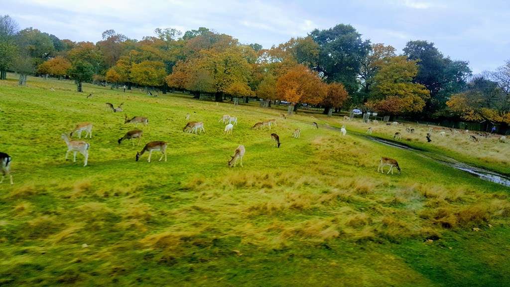 Richmond Park | Richmond, UK | Phone: 0300 061 2200