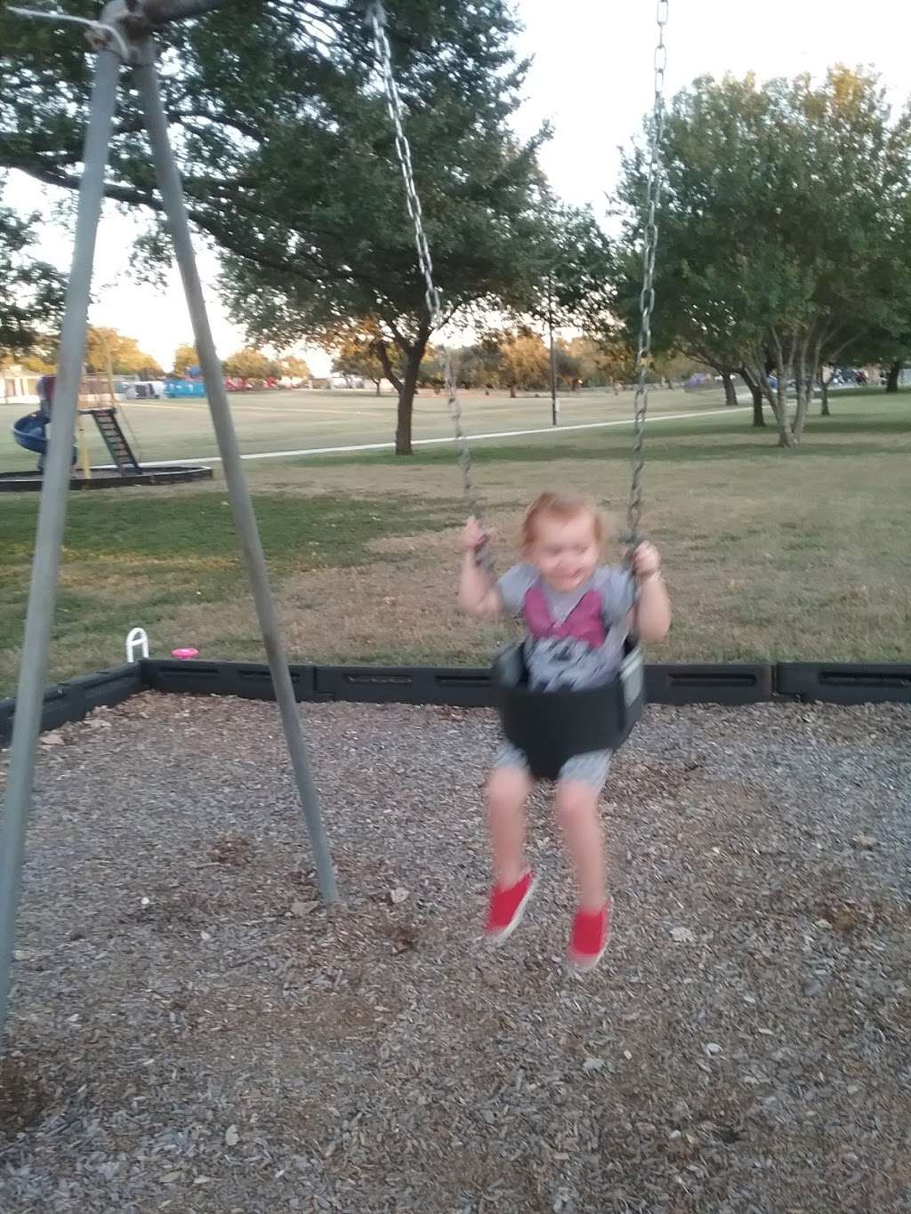 Pickrell Park | 703 Oak St, Schertz, TX 78154, USA | Phone: (210) 619-1850 Pickrell Park | 703 Oak St, Schertz, TX 78154, USA | Phone: (210) 619-1850