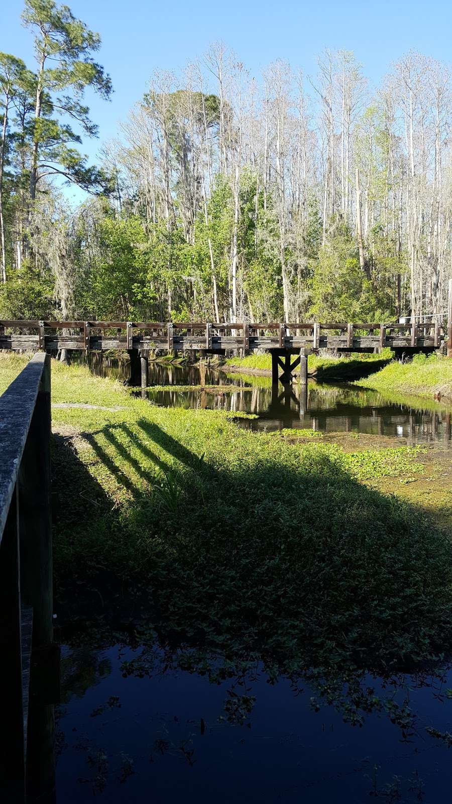 Shingle Creek Trail: Pine Island East Loop | Orlando, FL 32837