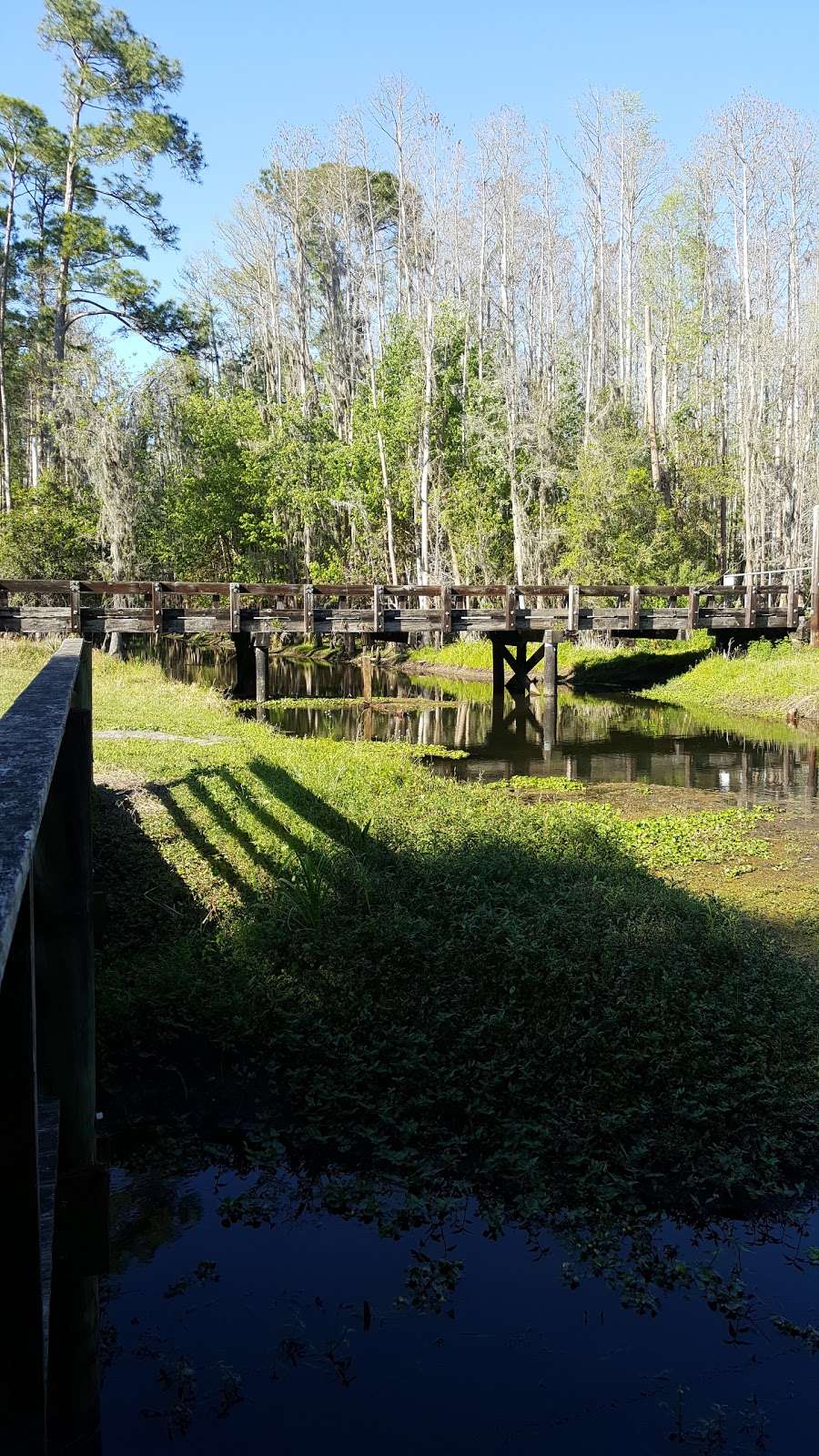 Shingle Creek Trail: Pine Island East Loop | Orlando, FL 32837, USA