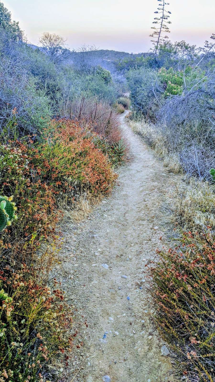 Rivas Canyon Park | Pacific Palisades, CA 90272, USA