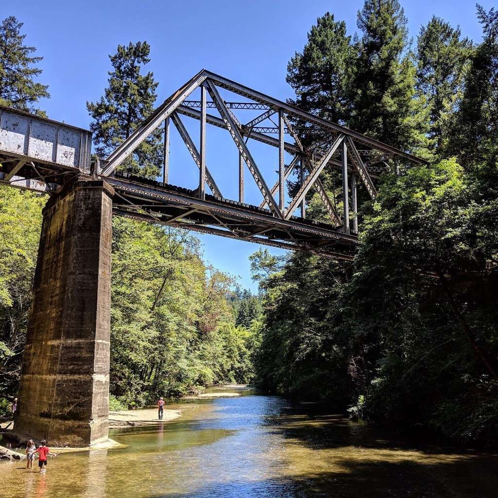 Henry Cowell Redwoods State Park | 101 N Big Trees Park Rd, Felton, CA 95018, USA | Phone: (831) 335-4598