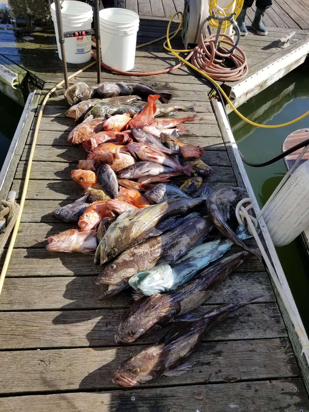 Mooch Better Fishing | 1 Johnson Pier, Half Moon Bay, CA 94019 | Phone: (650) 888-5125
