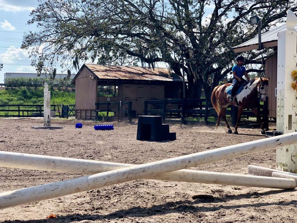 AAA Equestrian Center | 1800 Gregory Rd, Orlando, FL 32825, USA | Phone: (321) 229-9857