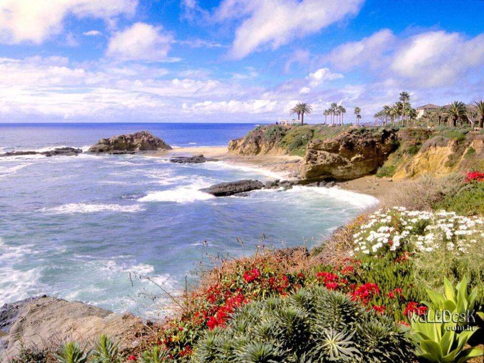 Debbie Brown - Villa Real Estate | 1833 S Coast Hwy #210, Laguna Beach, CA 92651 | Phone: (949) 735-4185