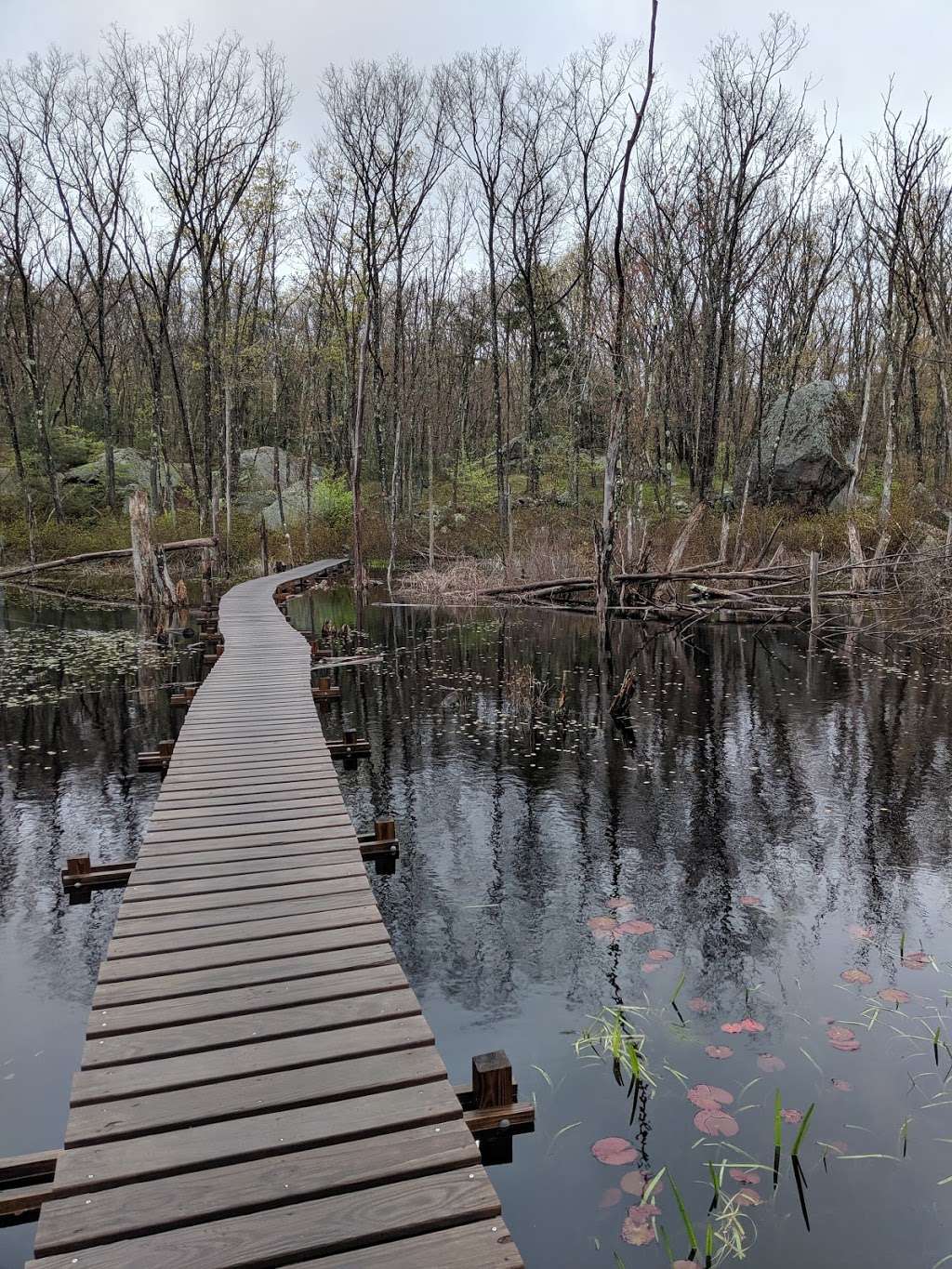 Greenbelt Hiking Trail | 60 Concord St, Gloucester, MA 01930, USA