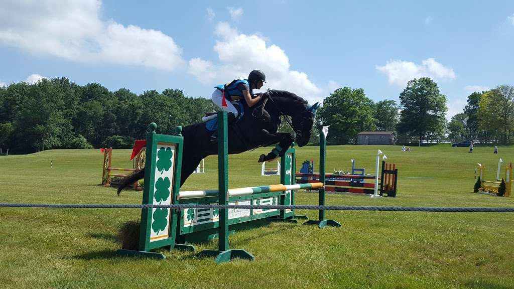 Bucks County Horse Park | 8934 Easton Rd, Revere, PA 18953, USA | Phone: (610) 847-8597