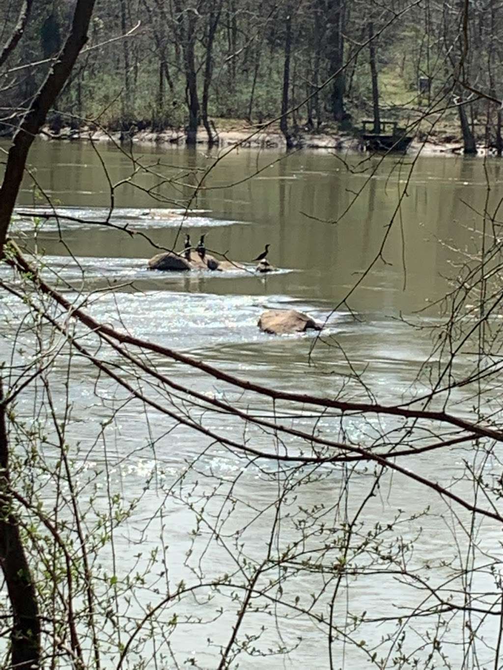 Catawba River Yehasuri Trailhead | 1523-1599 Tom Steven Rd, Rock Hill, SC 29730, USA