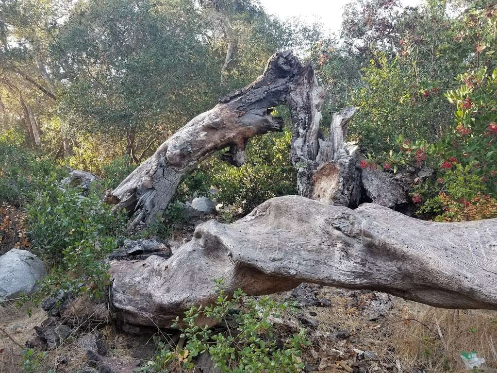 Oak Riparian Park | 4625 Lake Blvd, Oceanside, CA 92056, USA