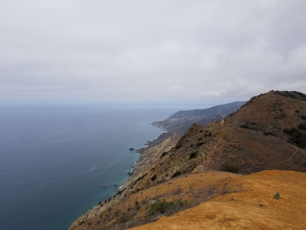 Lone Tree View Point | Lone Tree Road, Avalon, CA 90704, USA