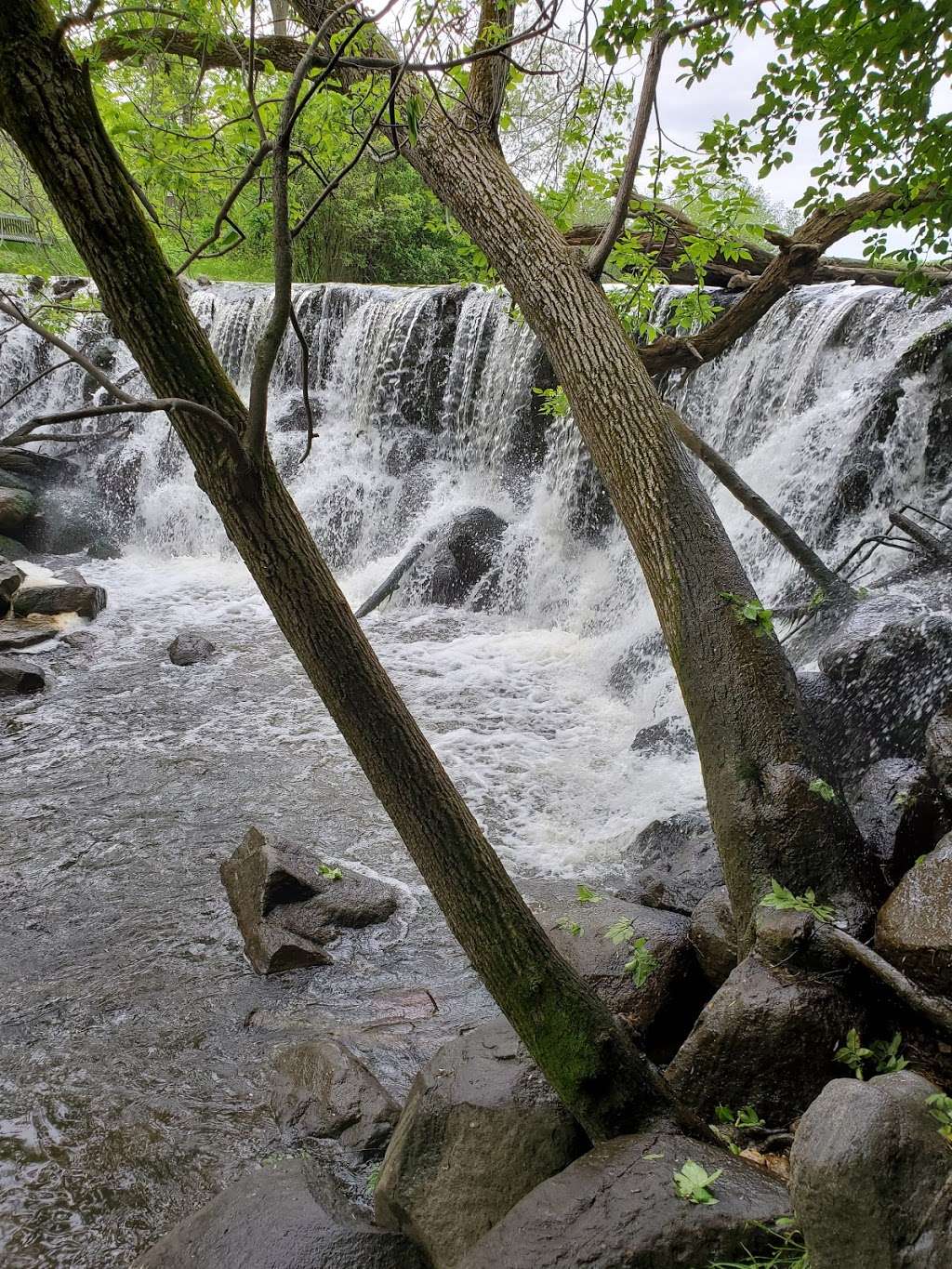 Waterfall Whitnall Park | Whitnall Park Dr, Franklin, WI 53132, USA