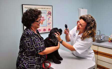 Loving Care Animal Clinic | 444 E Northwest Hwy, Palatine, IL 60074, USA | Phone: (847) 963-8887