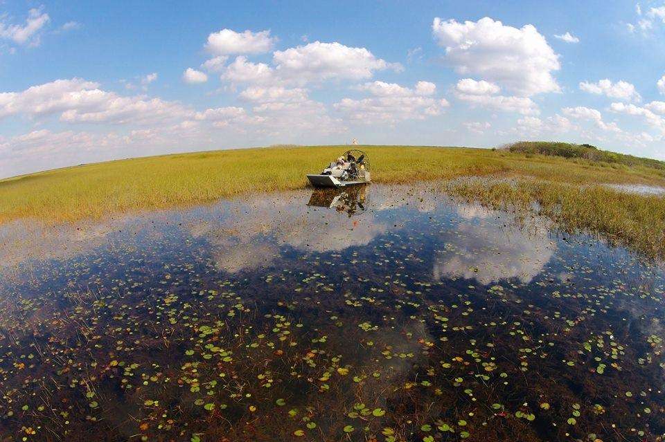 Airboat In Everglades | 17696 SW 8th St, Miami, FL 33194 | Phone: (888) 893-4443