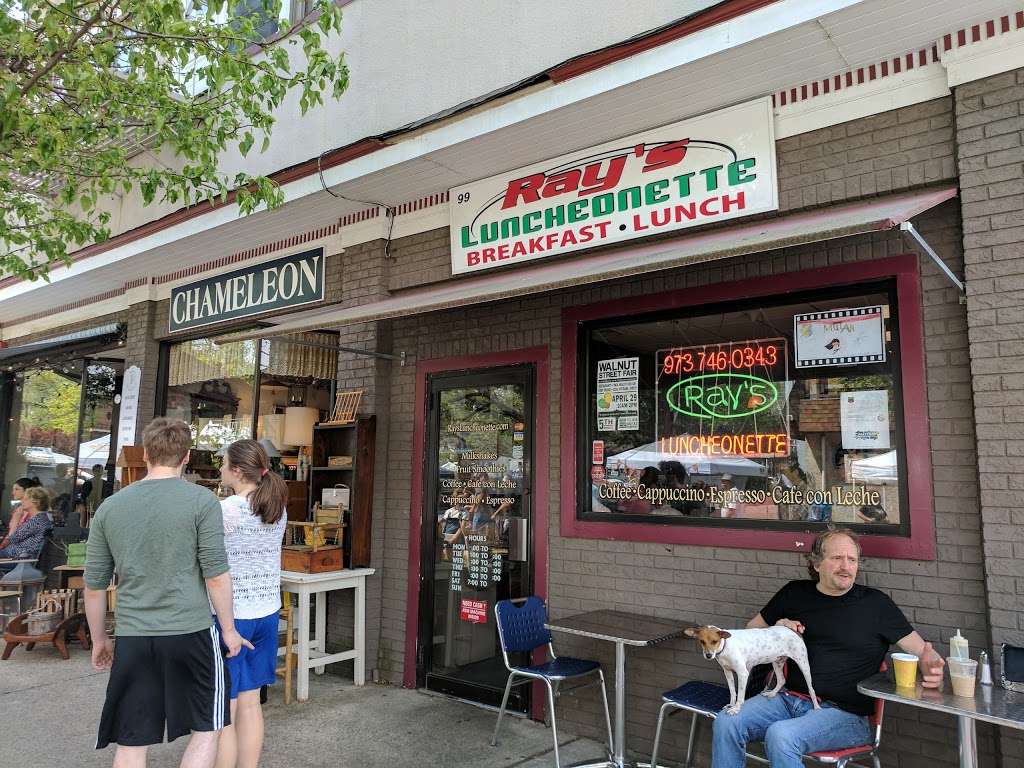 Rays Luncheonette | 99 Walnut St, Montclair, NJ 07042 | Phone: (973) 746-0343