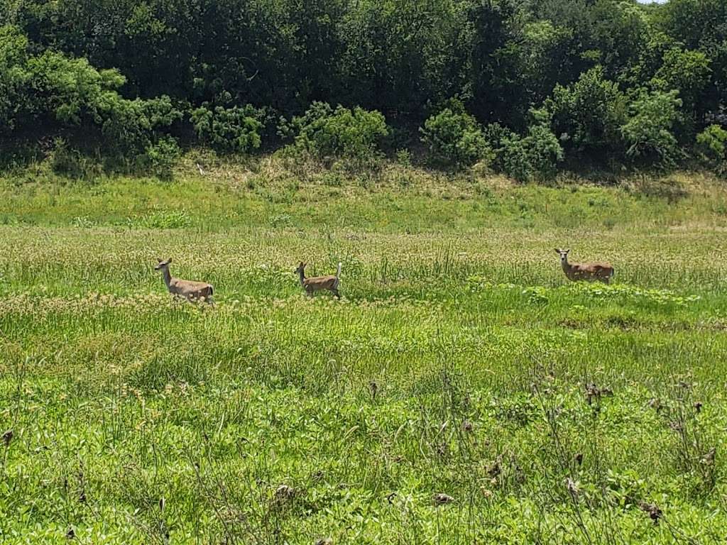 Lady Bird Johnson TrailHead | Salado Creek Greenway, San Antonio, TX 78217, USA