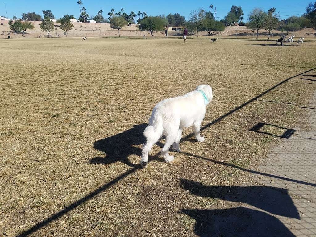 Grover Basin Dog Park | 17447 N 20th St, Phoenix, AZ 85022, USA | Phone: (602) 262-6696